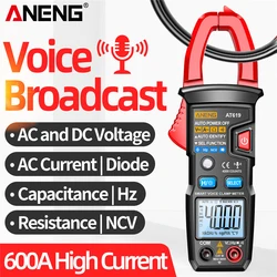 ANENG AT619 Digital Clamp Tester AC/DC multifunzionale Clamp Meter trasmissione vocale 4000 conteggi Auto-range per laboratorio/fabbrica/casa