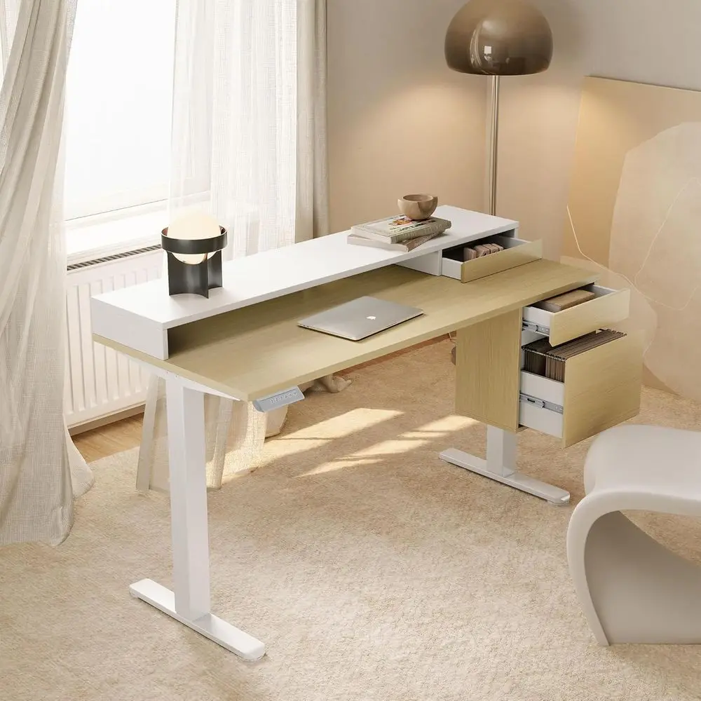 Electric Standing D…