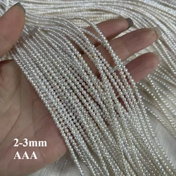 AAA 천연 담수 진주 나사산 타원형 선물 스페이서 비즈, 쥬얼리 제작 DIY 목걸이 팔찌 액세서리, 2-3mm