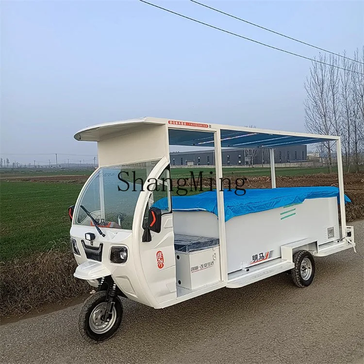 ZYY mobile cold storage tricycle electric ice cream truck mobile stall truck e****mical and durable