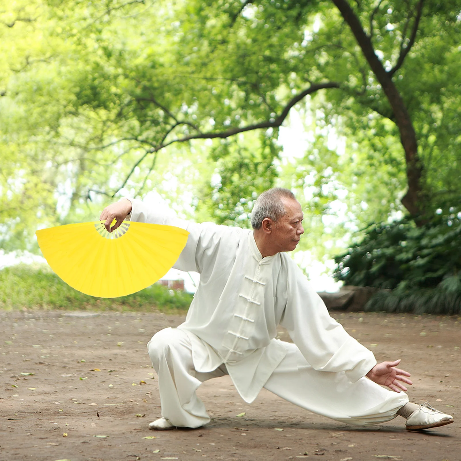 

2Pcs Tai Chi Kung Fu Folding Hand Fans Retro Vintage Fabric Hand Fan Dance Performance Martial Arts Practice Cloth Folding Fan