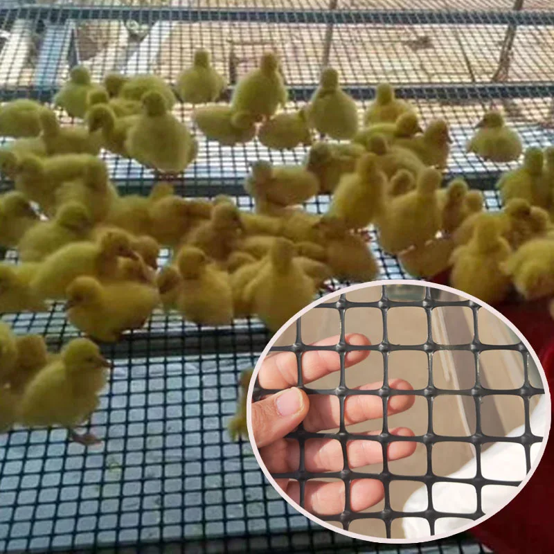 

Black 2cm Hole Plastic Breeding Net Garden Chicken & Duck Poultry Netting Fence Enclosure Custom Cutting Service