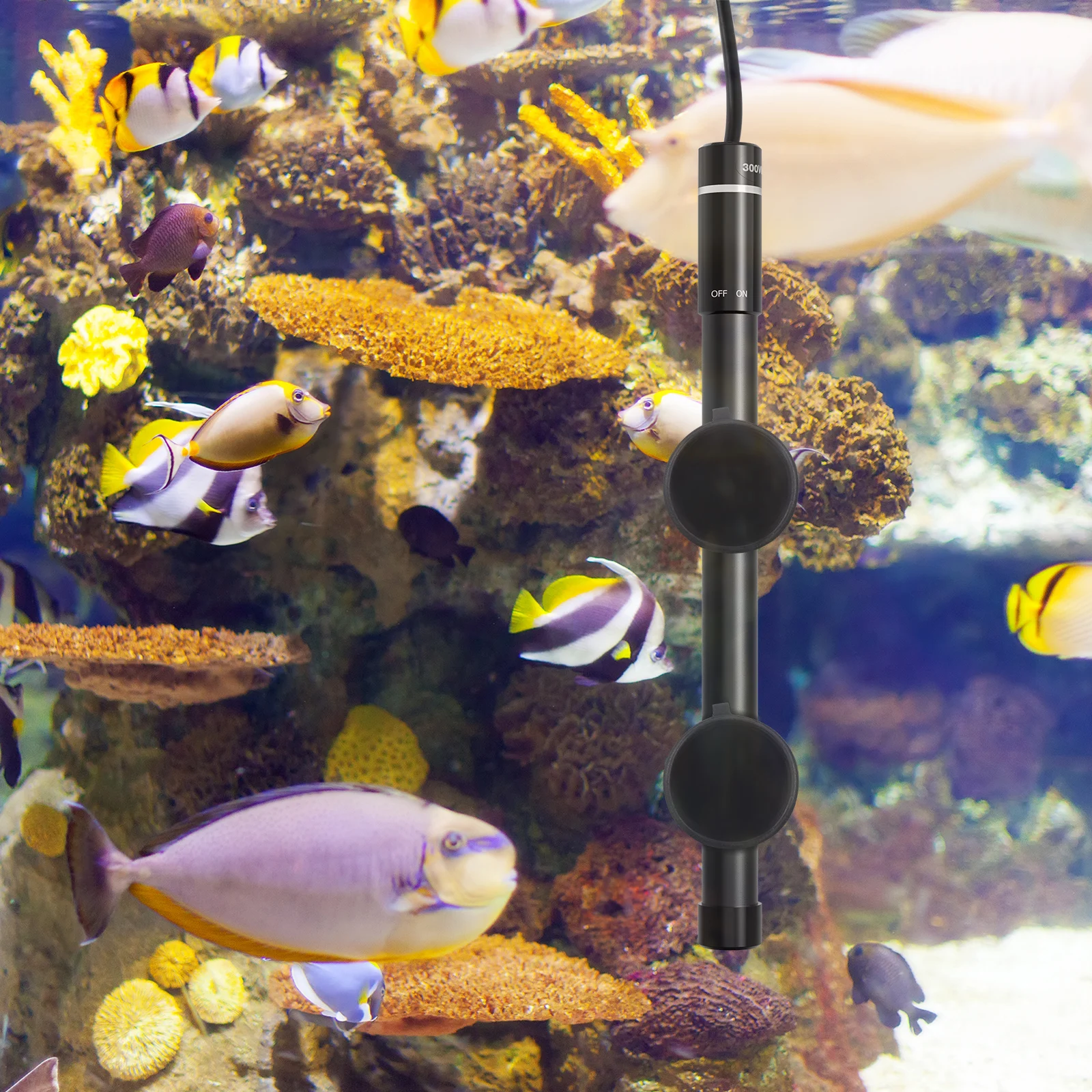 

10pcs Rod Suction Cup For Aquarium Tube Holder Black Detachable Fish Aquarium Suction Cups Tank Accessory