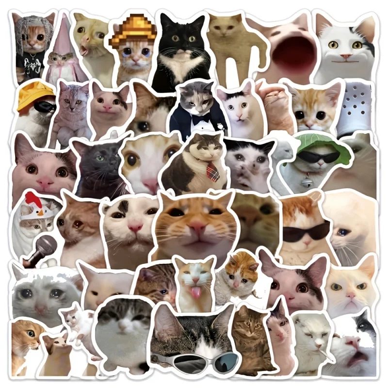 51pcs Funny kitten stickers Abstract Funny Cute Animal StickersdiyDecorative notebook, water cup, planner stickers