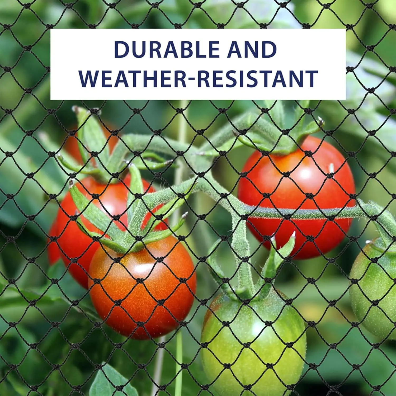 Stahldrahtverstärktes Katzennetz für Balkon, Katzen-Anti-Fall-Netz, Gartennetz, Anti-Vogel-Netz mit Draht für Fenster, Treppenrasen – Detail 9
