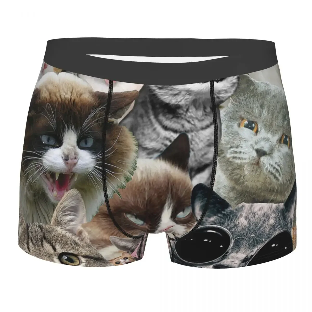 Cool Cat Meek Haughty Languor Vivacious Sprout Underpants Cotton Panties Men's Underwear Print Shorts Boxer Briefs