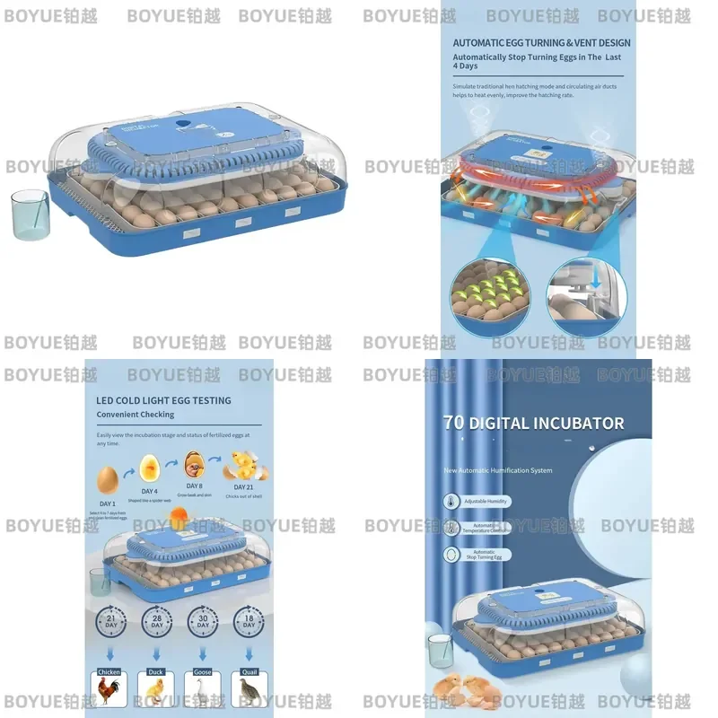Automatic Humidity Control 70 Dual Power Incubator Hatching Machine Solar Incubator for