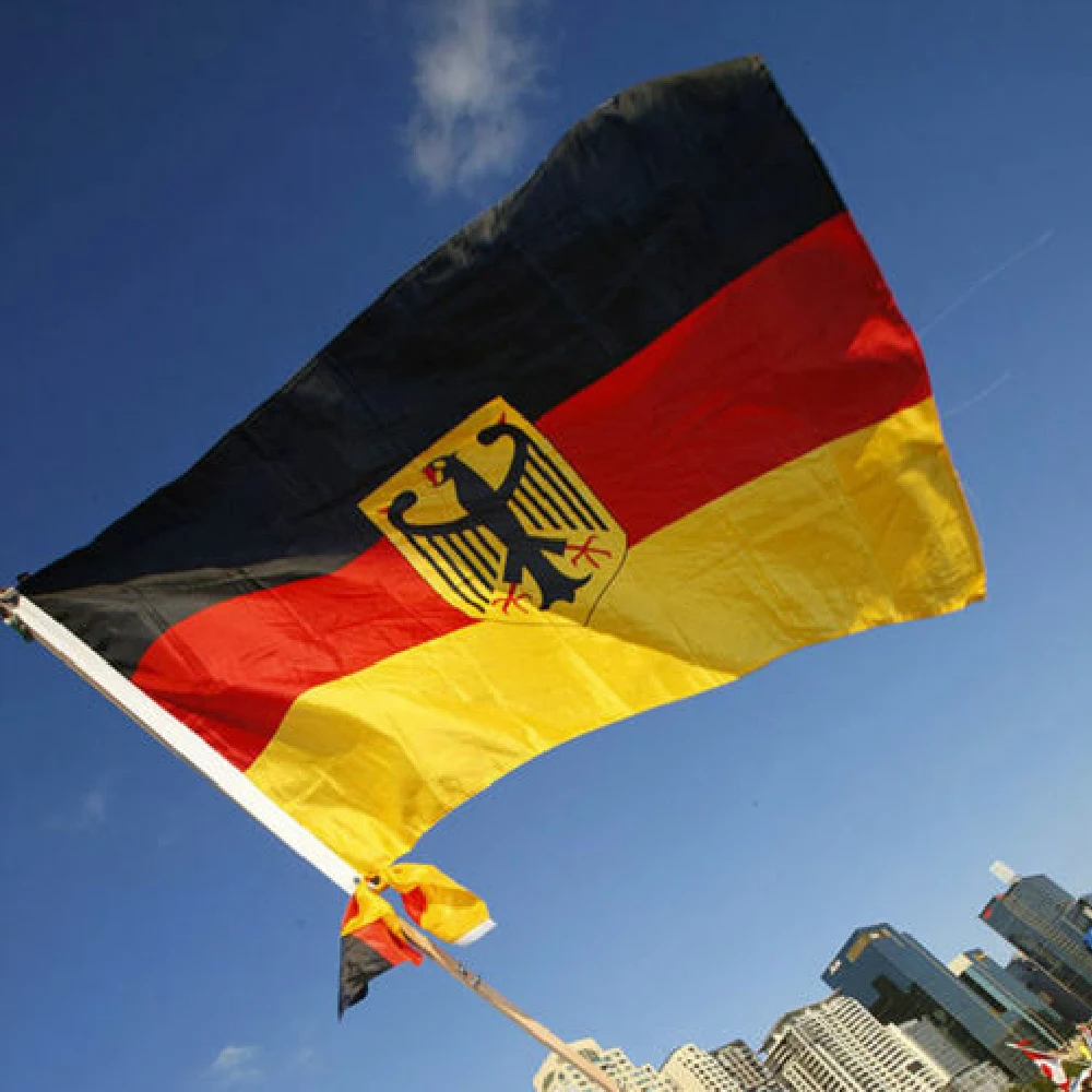 FLAGLINK 90x150 سم علم الشعار الوطني الألماني للزينة #1