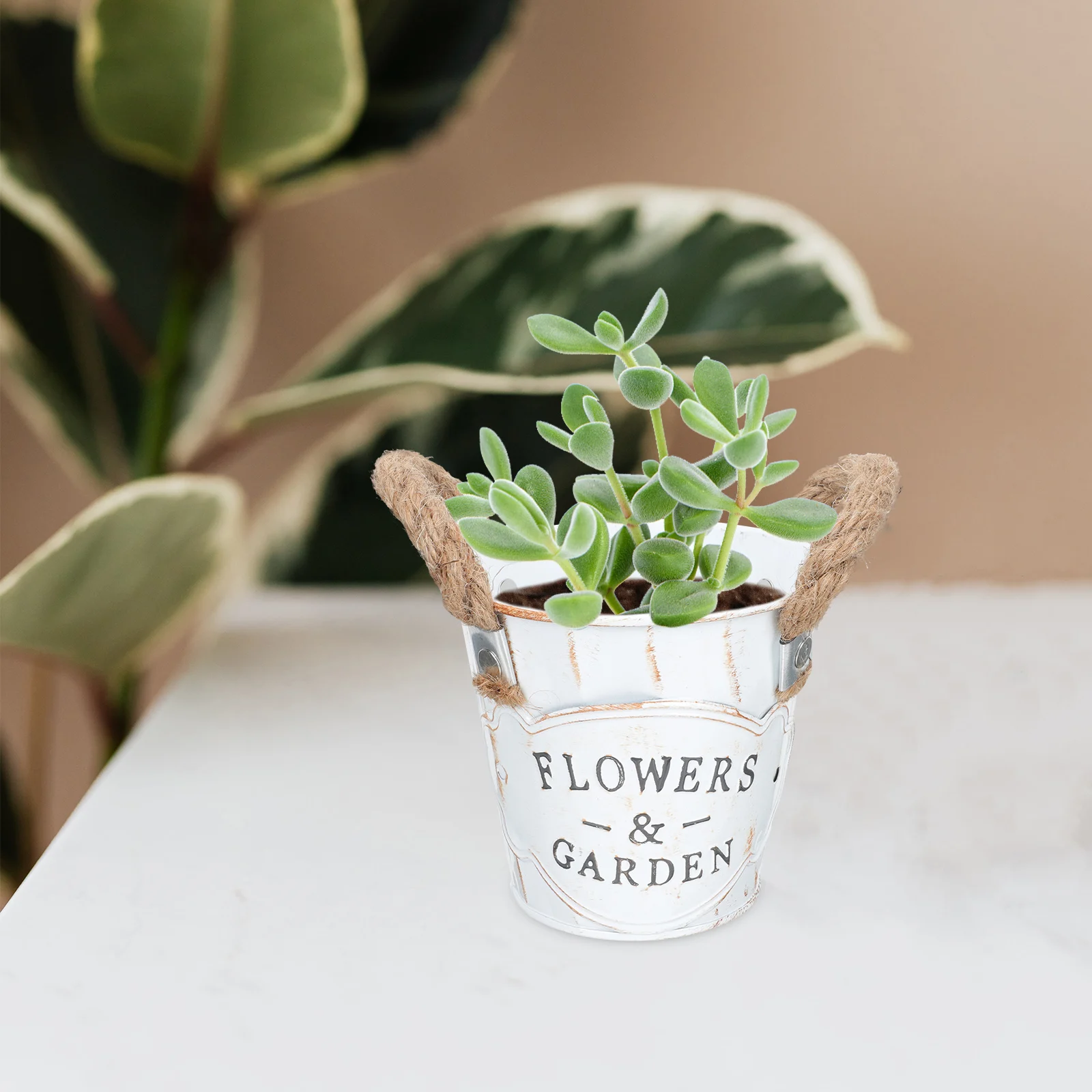 

2pcs Retro Iron Flower Pot Wrought Planter Bonsai Rope Succulents Garden Supplies Household Planting Container