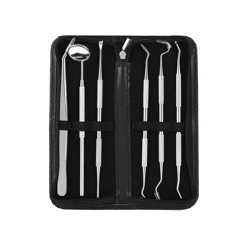 6Pcs /Pack Stainless Steel Dental Tool Oral Care Set for Dental Removal Endoscope Dental Scaling Removal Leather Case Packaging