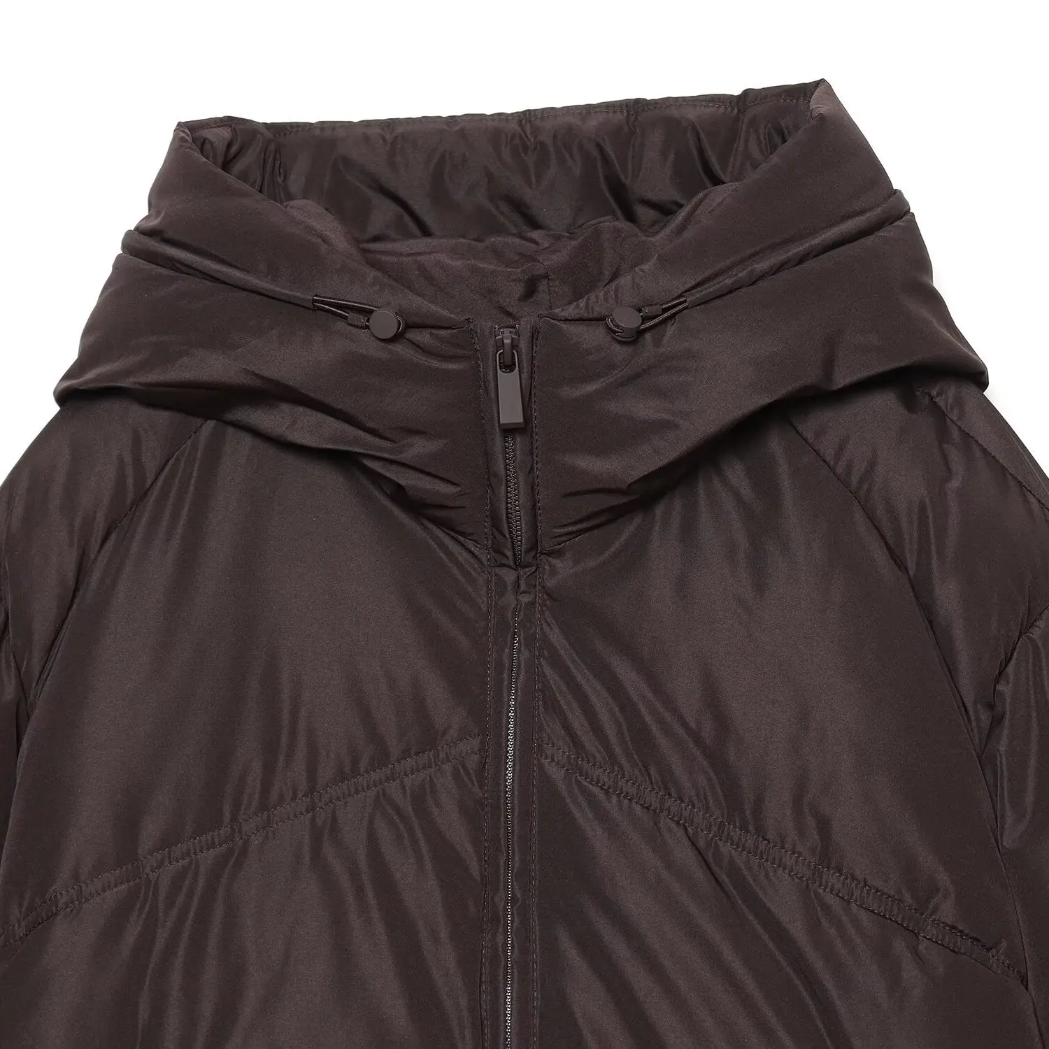 Fashionable Windproof Hooded Cotton Jacket for Women New Arrival Versatile Ladies Cotton Coat Zipper Closure No Fur Collar