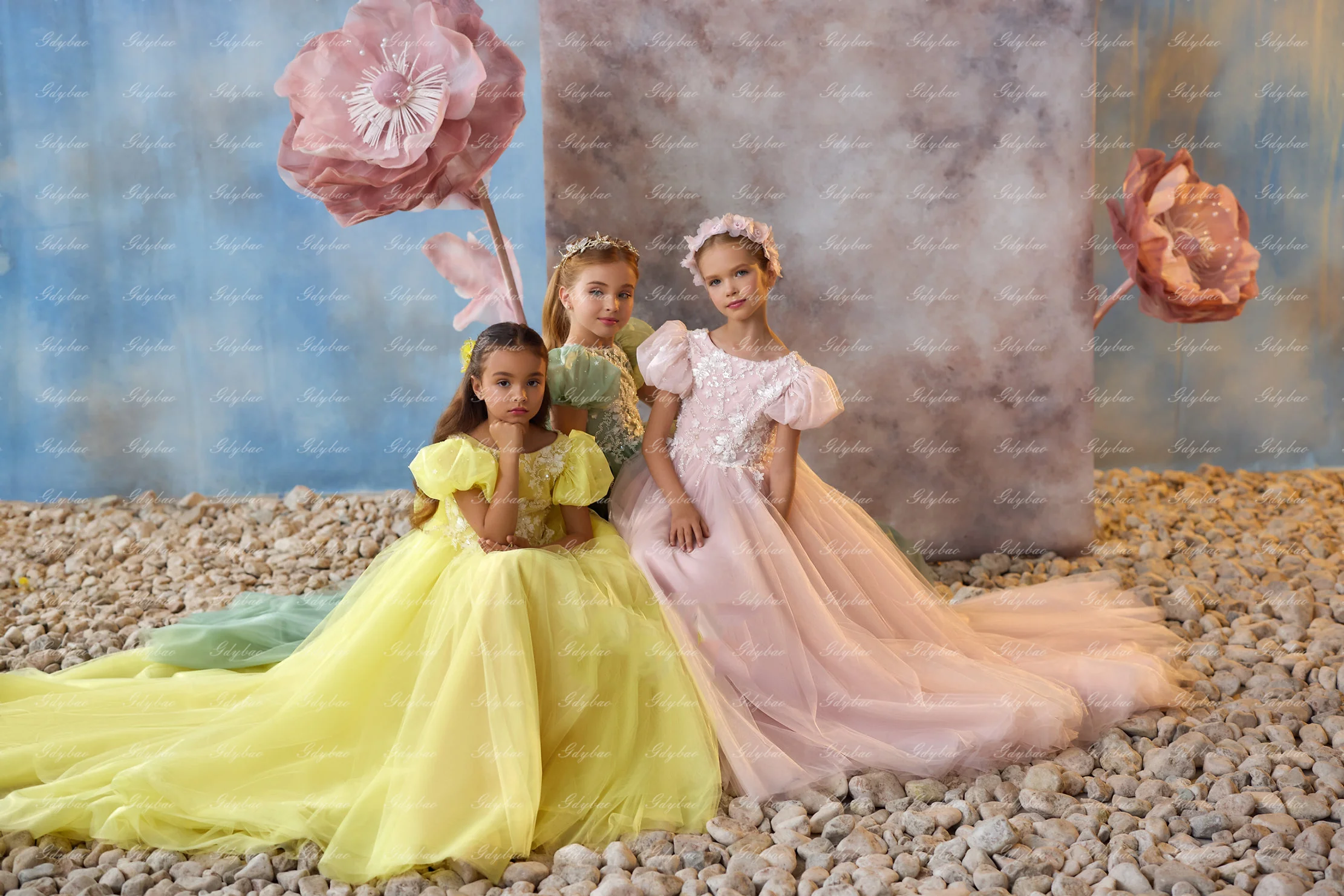 Princess Flower Girl Dress Tulle Puffy Applique Short Sleeve Ball Gowns for Wedding Kids Piano Performance Birthday Party Dress