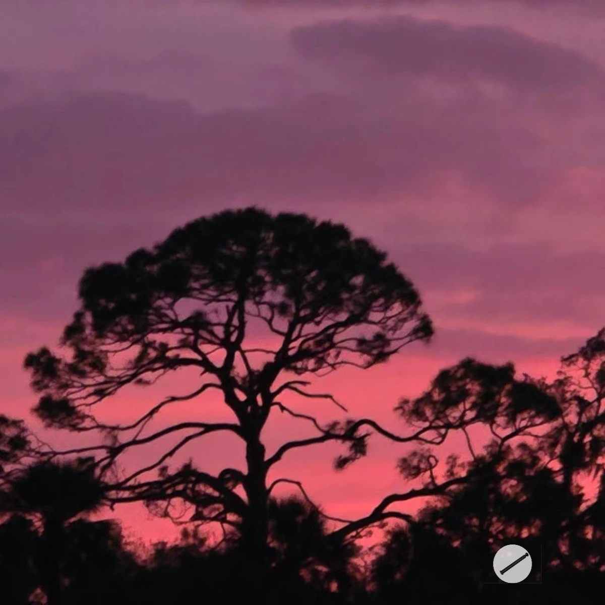 GPM 炭素鋼フロントクラッシュ構造固定ピン LOSI 1/4 Promoto MX SM用