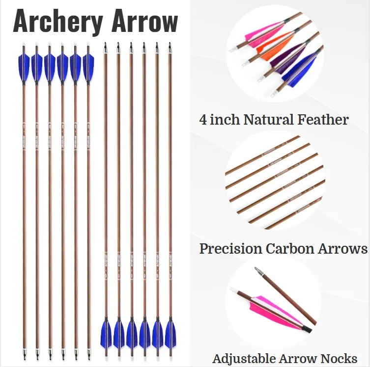 SP 340/400/500/600 31 "arbre de flèches en carbone 12 pièces flèche de tir à l'arc 4" plume de dinde 100Gr conseils arc cible de tir de chasse en plein air