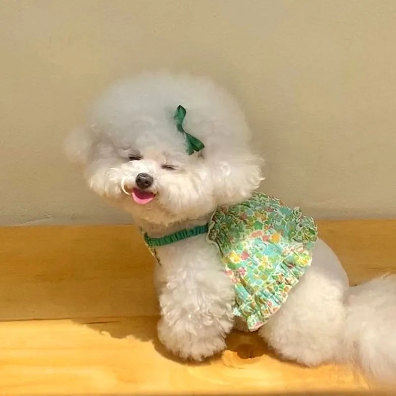 Teddy Field Floral Sling Pet Pretty Clothes Summer New Skirt Bichon Frise Green Floral Vest Female Dog Clothes