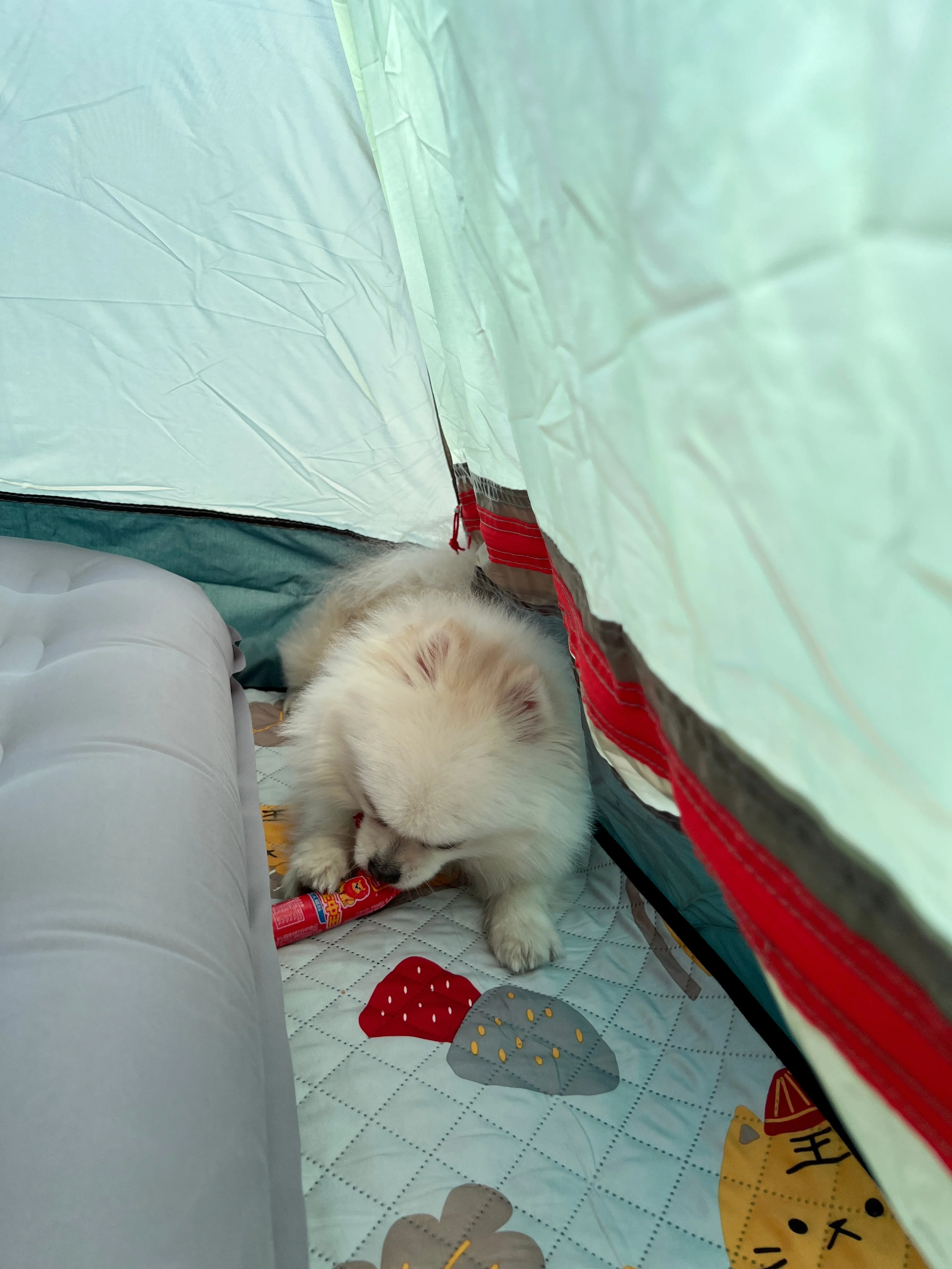 

Комплект колесных дисков для радиоуправляемых краулеров 0,7 дюйма (4 шт.) для 1/30 Axial SCX30 Bronco Wrangler K10 Redcat Ascent-32 (только диски)