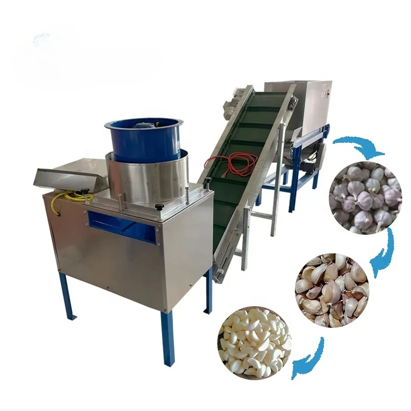 

Small Electric Automatic Whole Garlic Peeler Garlic Peeling Machine Garlic Splitter Peeling Production Line