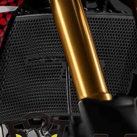 

Motorcycle Accessories FOR Ducati Hypermotard 698 Mono RVE 2024 2025 2026 698 Radiator Guard Grille Protective Protector Cover