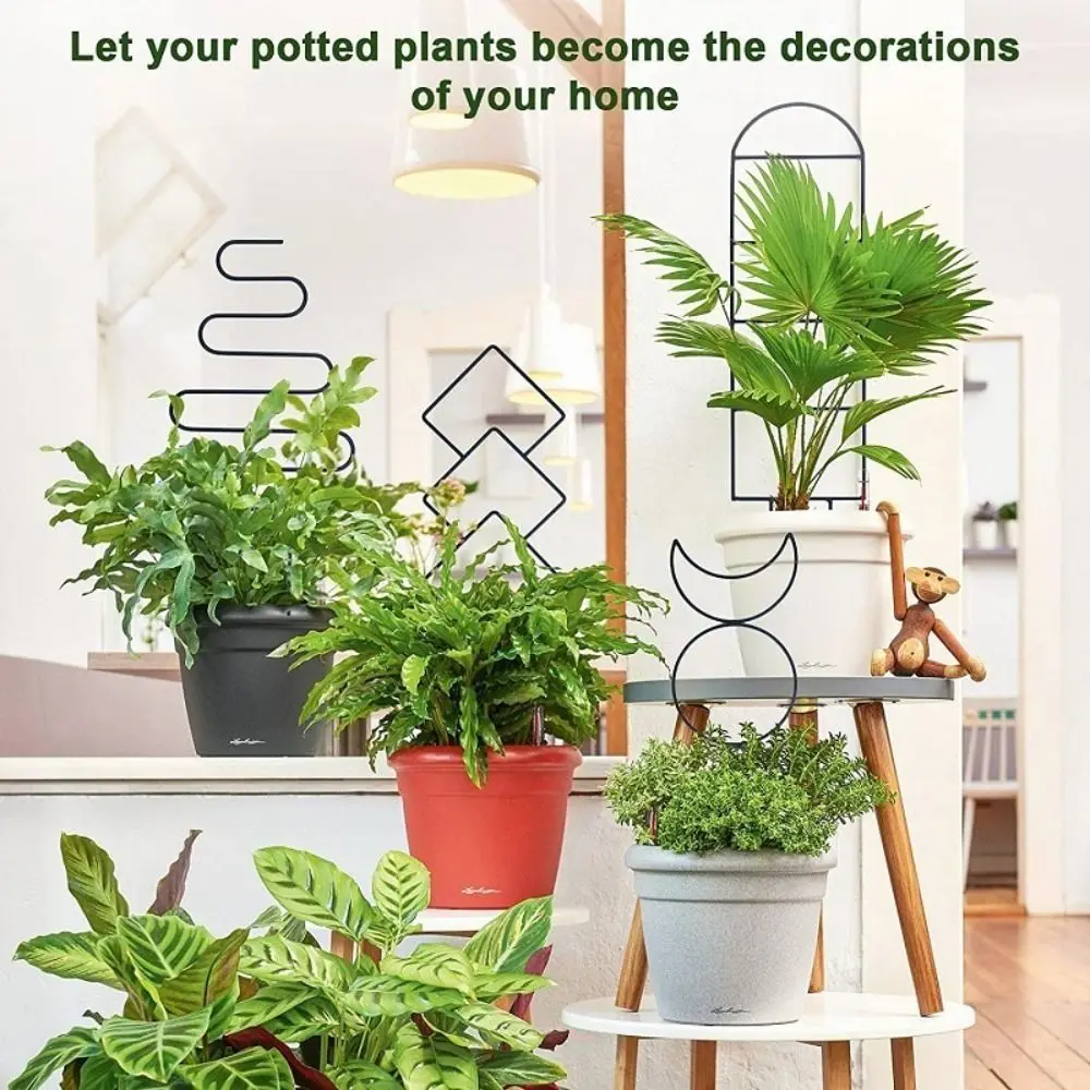 4 Different Shapes Climbing Plant Trellis Soil Insert Stakes Moisture-Proof Coating Plant Support Stake Metal Wire