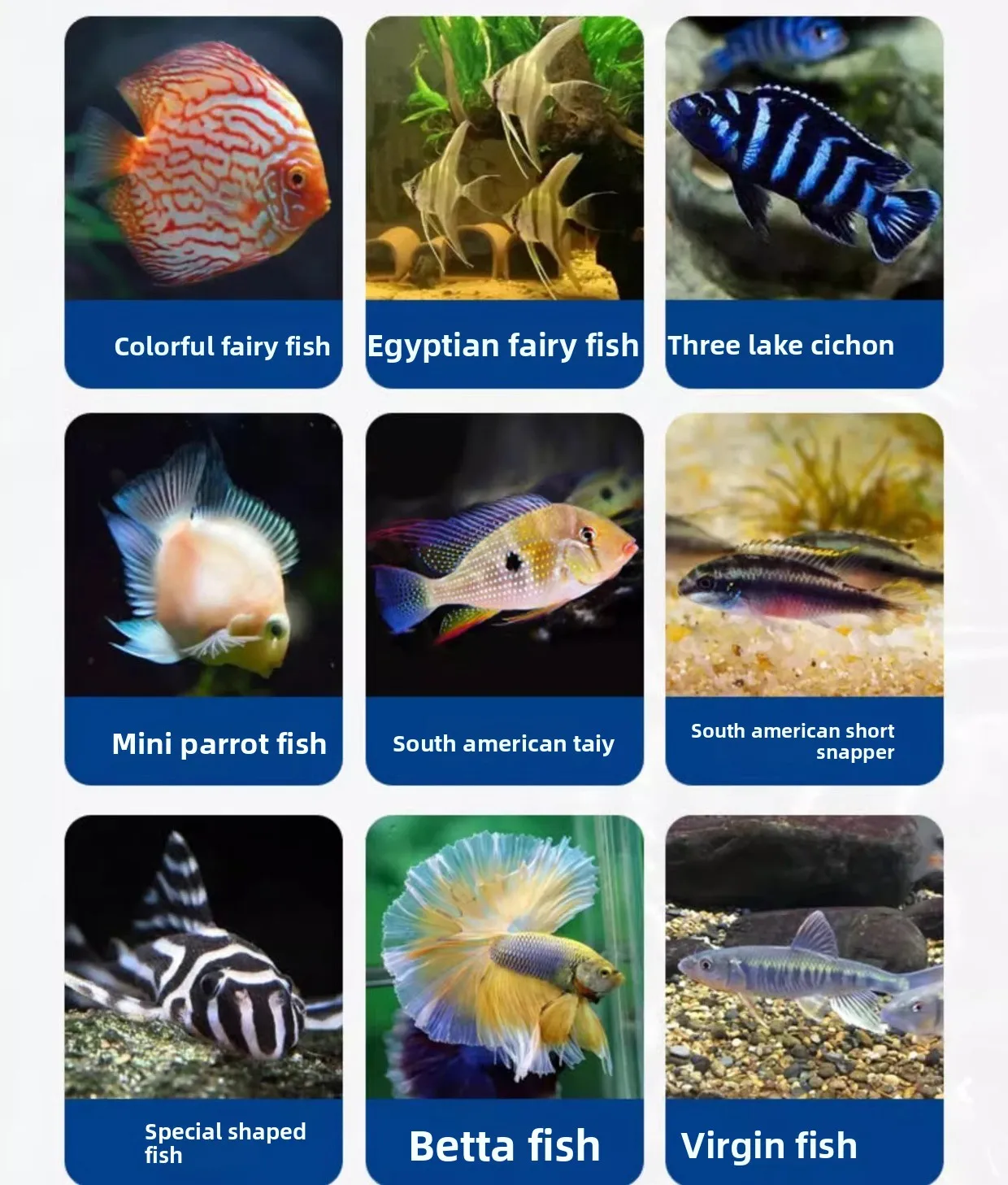 LONGNIAN Altum Angelfish & Discus تركيبة دودة الدم الاصطناعية للأغذية المعلبة البرية | غرق الكريات مع Amazon Bioactive