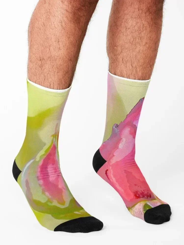 Spring Rose Socks funny gifts compression floral gift Ladies Socks Men's