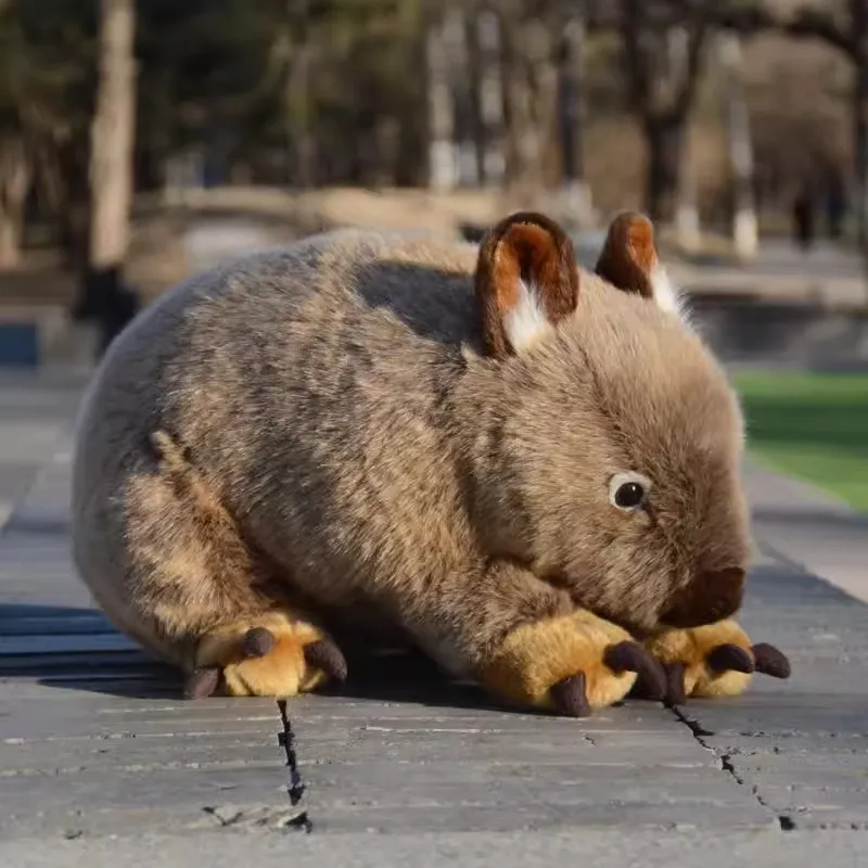 Simulated Animal Wombat Phascolomidae Australia Wild Nature Zoo Model Plush Toy Stuffed Doll Pillow Cushion Boy Girl Travel Gift