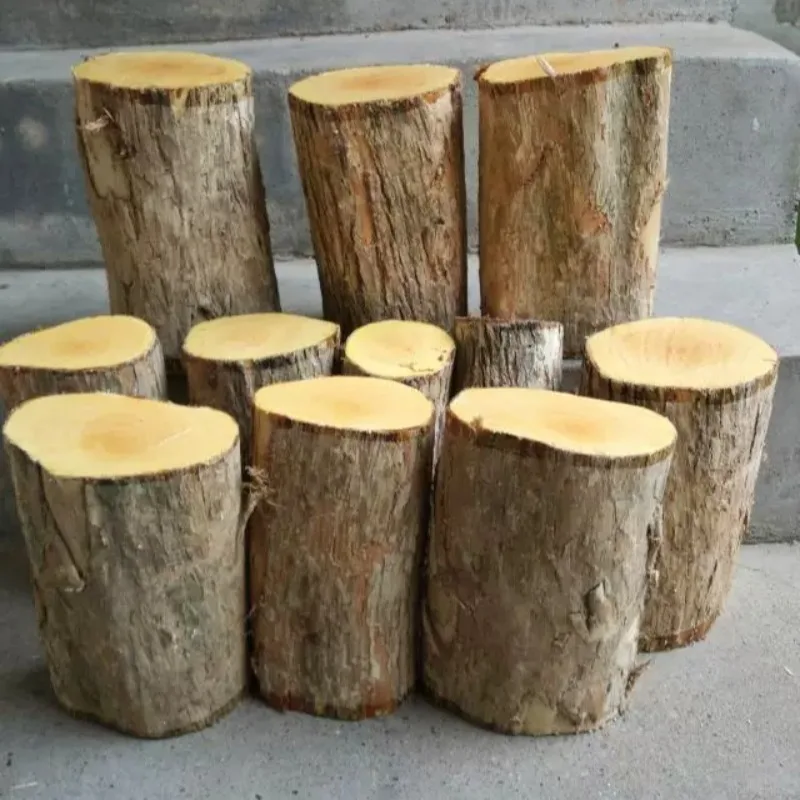 Natural High Mountain Large‑leaf Boxwood Log Raw Wood Material for DIY Carving Ornament Pen Holder Patch Handcraft Woodworking