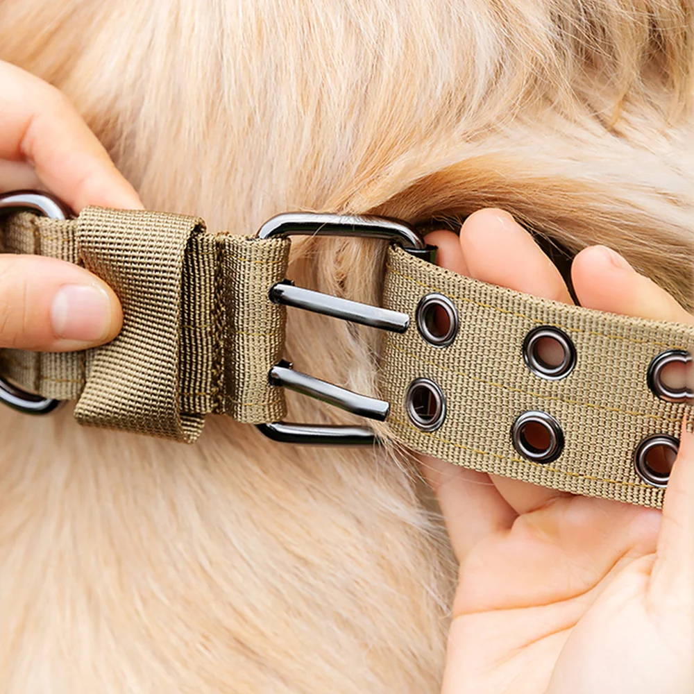 Thumbnail 3 - #11 Low Cost Dog Collars That Work