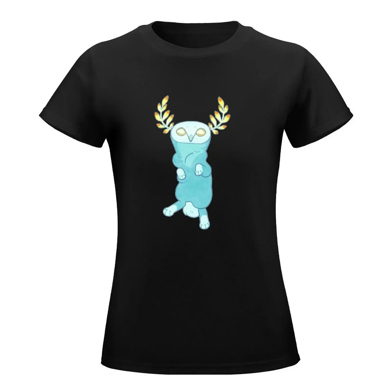 BOTW-T-shirt gráfica para mulher, moda coreana, roupa Blupee