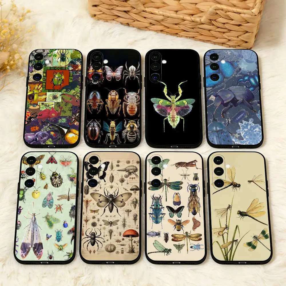 B-Biology B-Bugs An…