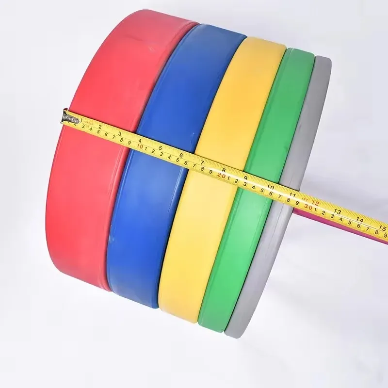 Silver Chrome Dumbbell Weight Plate Electroplated Cast Iron for Premium Home Gym Fitness Lifting Equipment Dumbbell Weight Plate