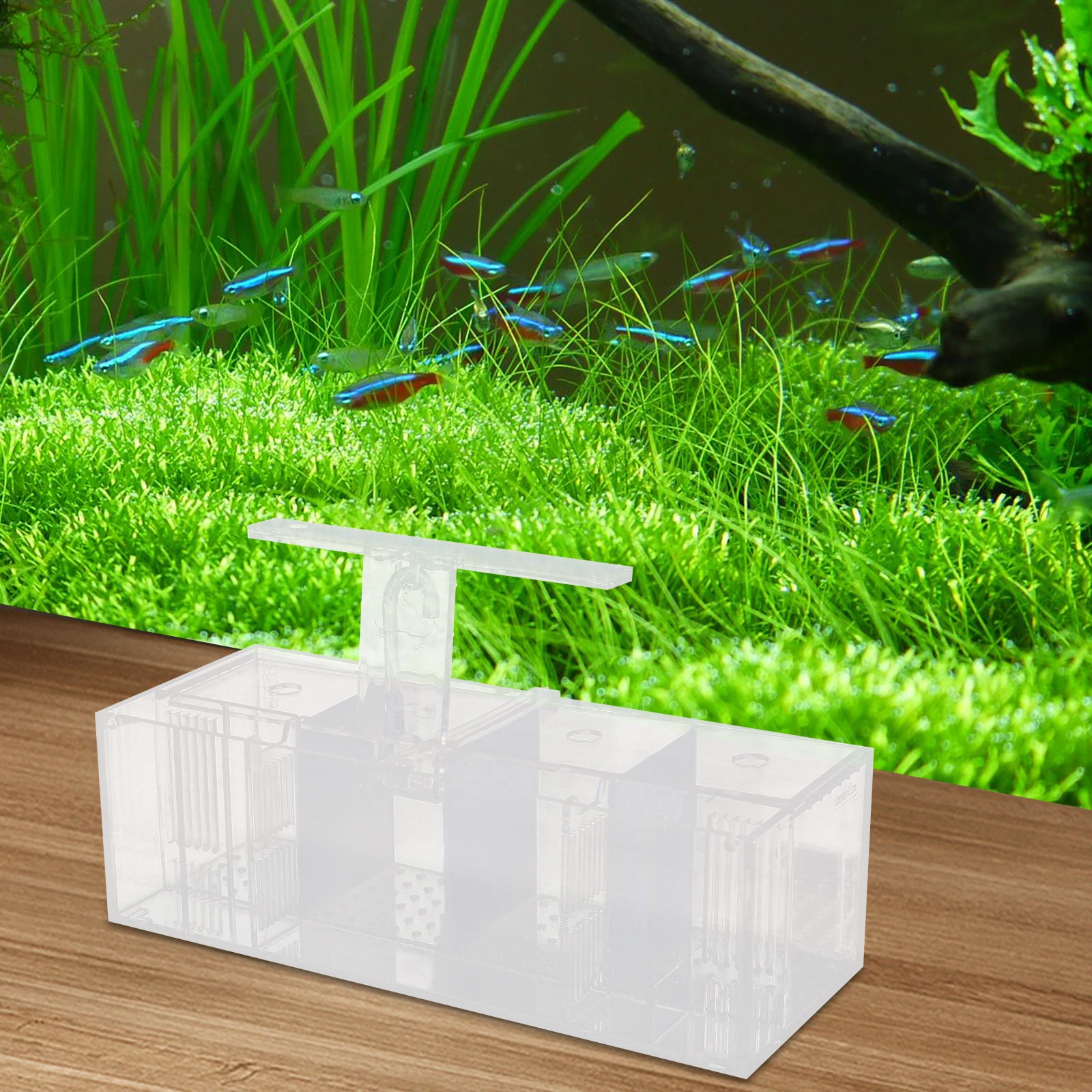 4 Grids Desktop Aquaponic Fishes Tank Rectangle Acrylic Aquarium Tank Isolation Hatching Box With LED Light