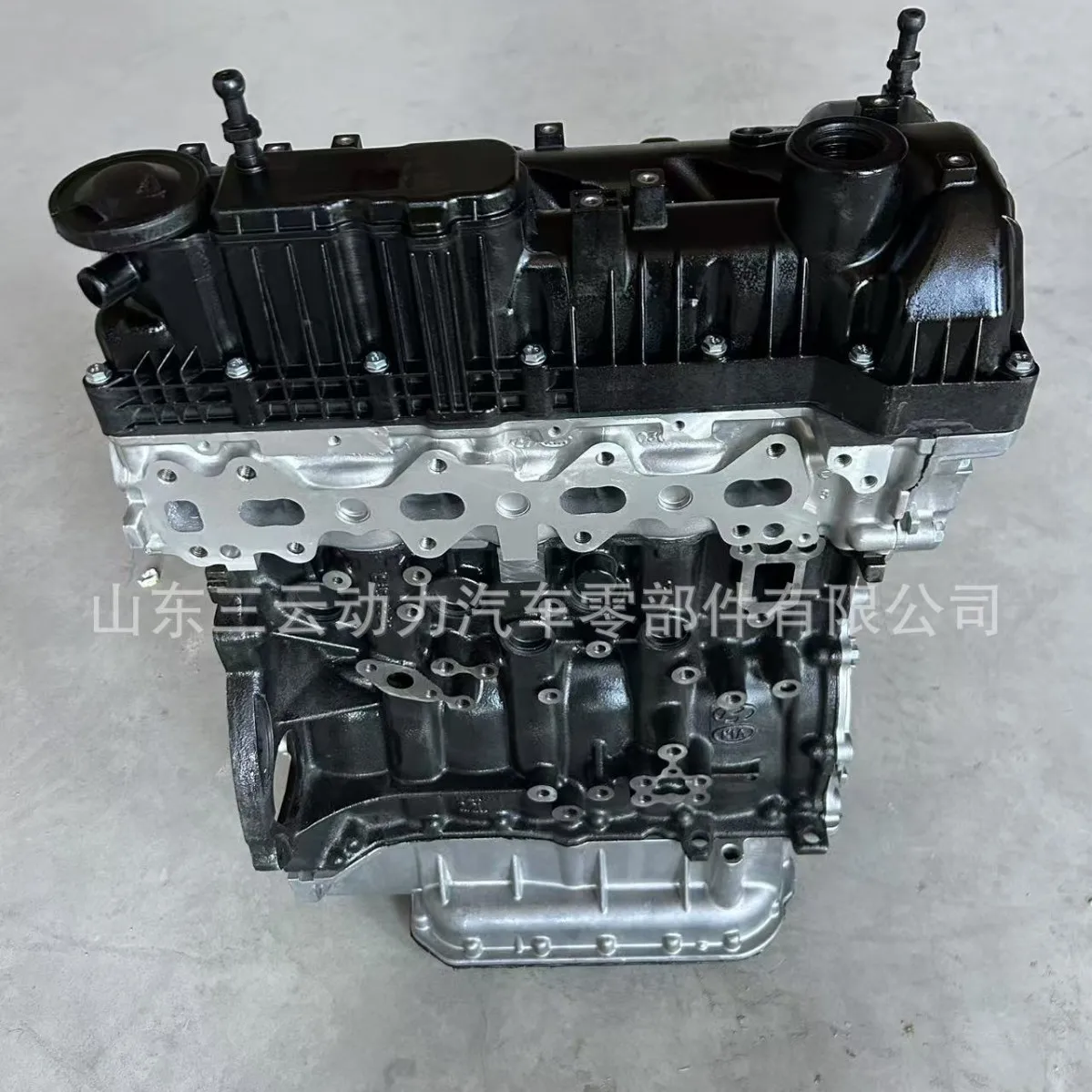 

Suitable for High quality engine Hyundai diesel D4HB engine convex machine 2.2T Hyundai Solanto Shengda