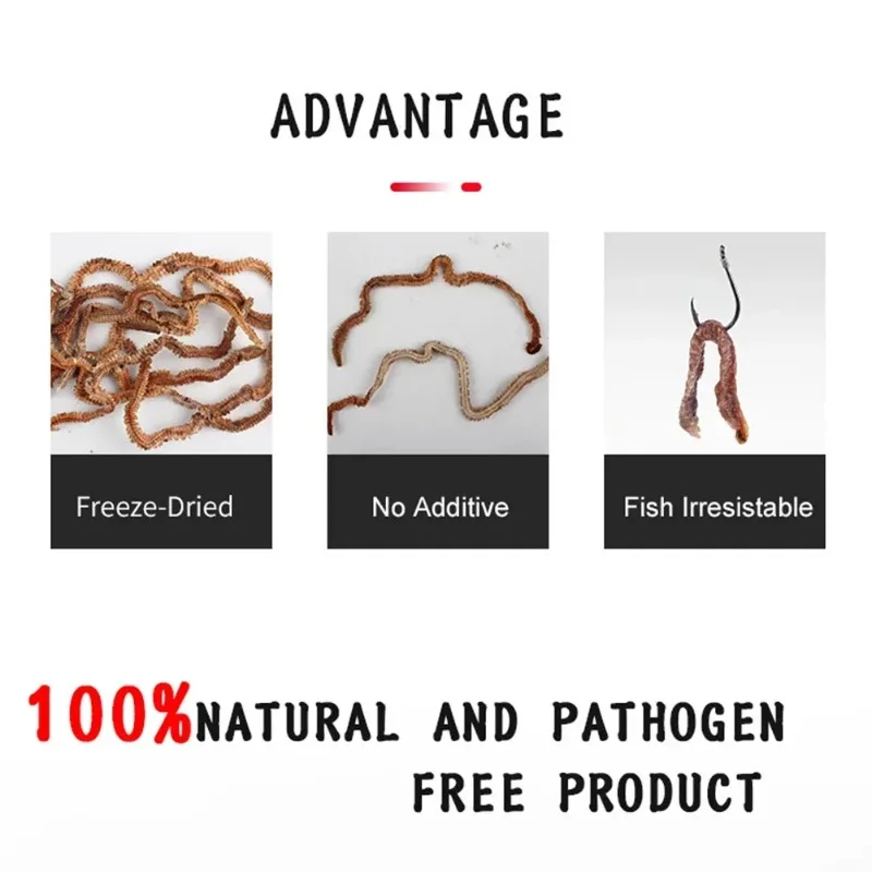 Señuelos de pesca de gusanos de arena secos, alimentador de agua dulce y salada realista, gusanos de pesca de mar, accesorios de cebo Artificial suave con olor