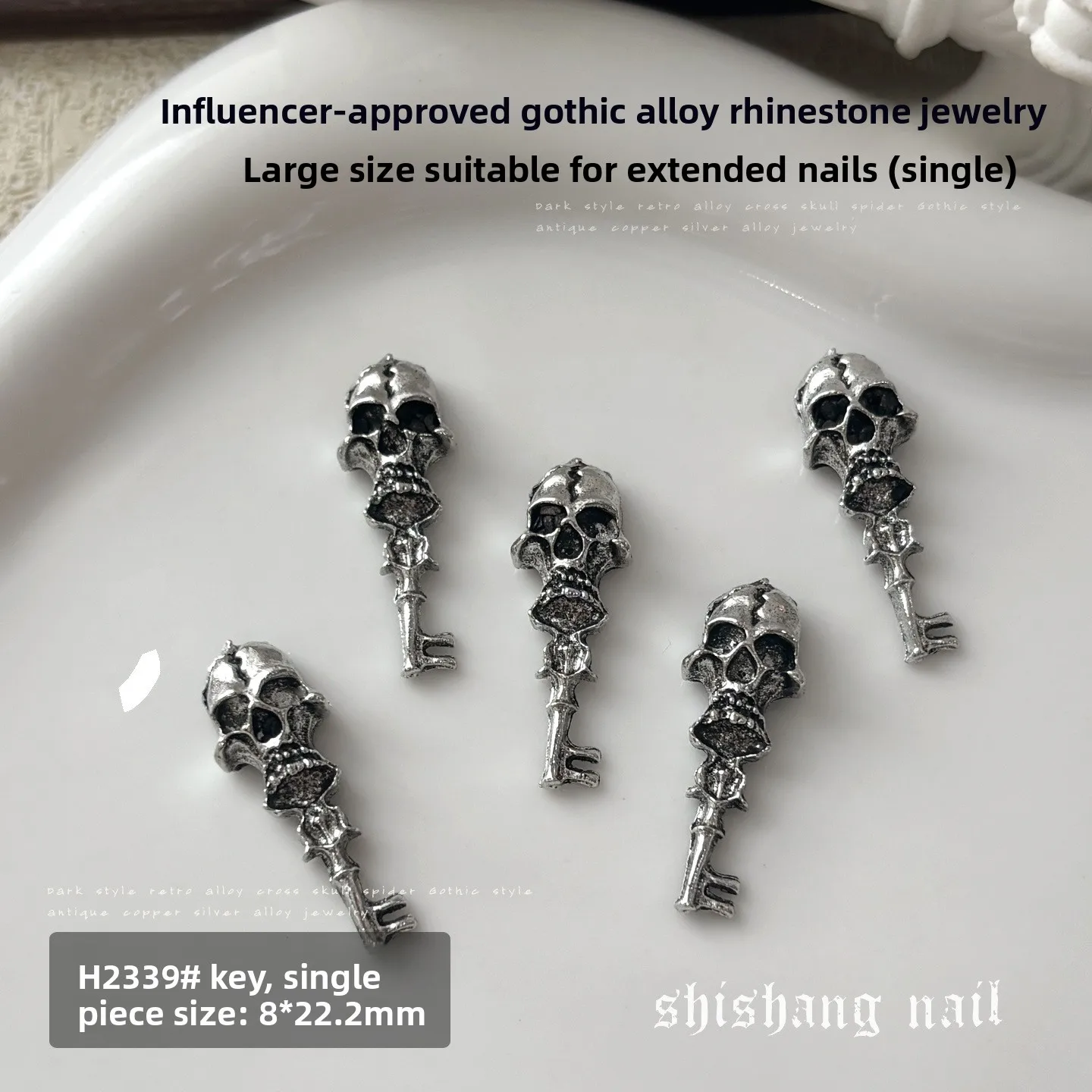 LYLE 12-teiliger Acetat-Nagelkunst-Übungsständer Aurora Irisierend Starker Magnet Schachfigur Tragbarer Nagelkunst-Displayhalter – Detail 10