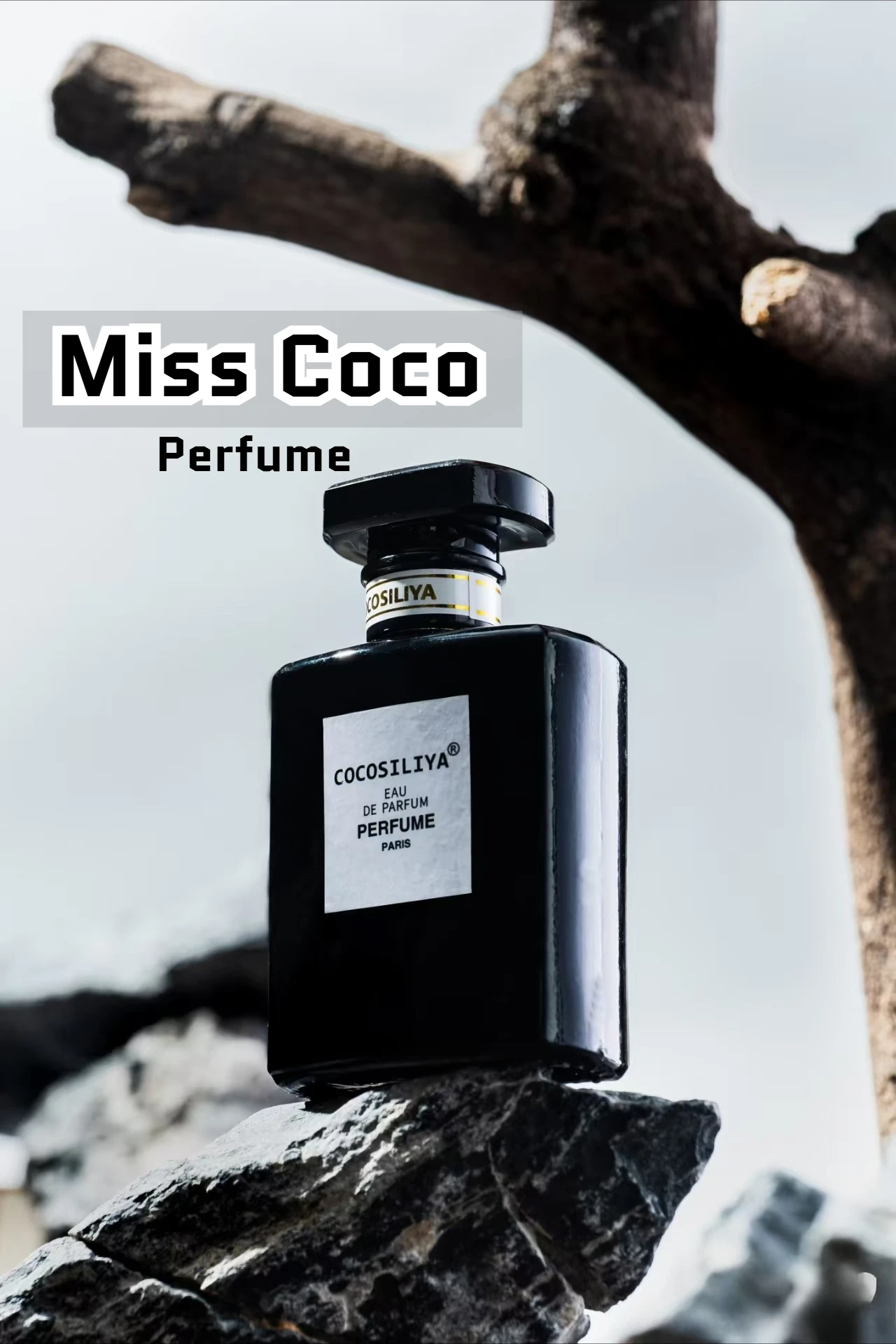 

Подлинные продукты Специальное предложение Парфюмы Miss Cocoa Очаровательные свежие идеальные финики Парные феромоны Высококачественные нишевые индивидуальные предложения.