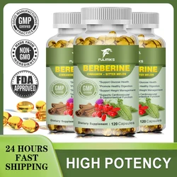 Berberine Capsules Plus Ceylon Cinnamon, Bitter Melon, Milk Thistle - Supports Immune System, Heart & Gastrointestinal Wellness