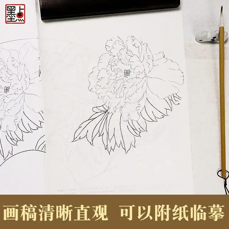 6 PCS /SET Introduction Course of Fine Brushwork Gong Bi Flower and Bird Peony Lotus Insect Painting Drawing Art Book for Aduts