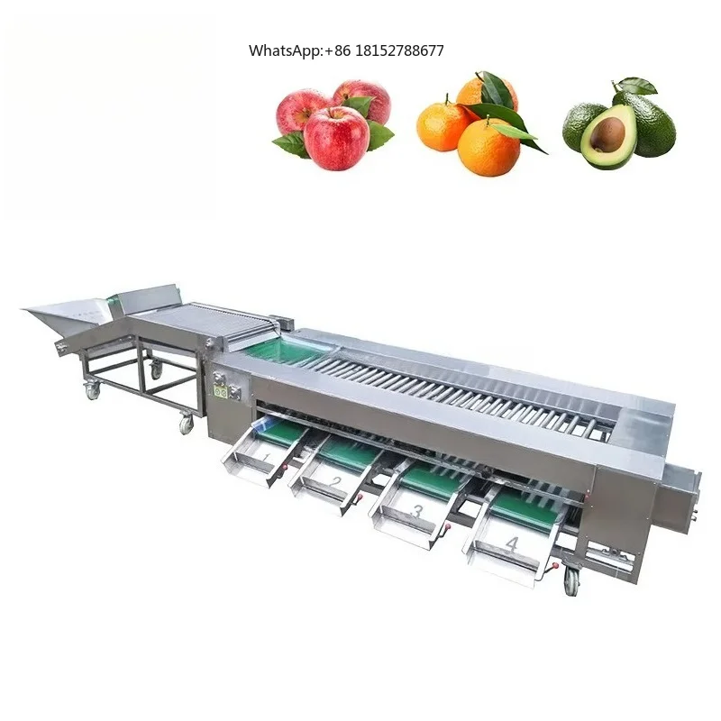 Automatic Lemons  Grading Machine Orange Tomato Avocados Banana Blueberry Cherry Tomato Sorting Machine Lemons Grader