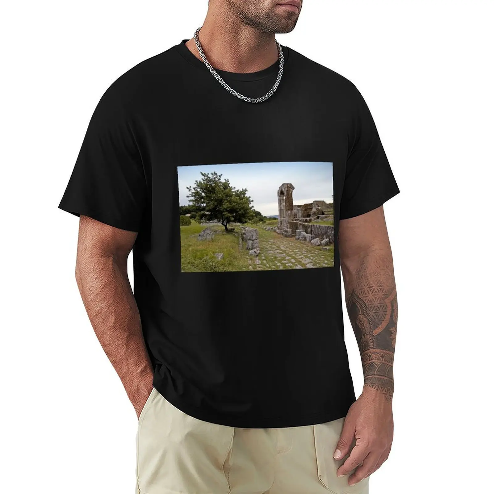 

Carsulae T-Shirt summer shirt Luxury man fitted t shirts for men