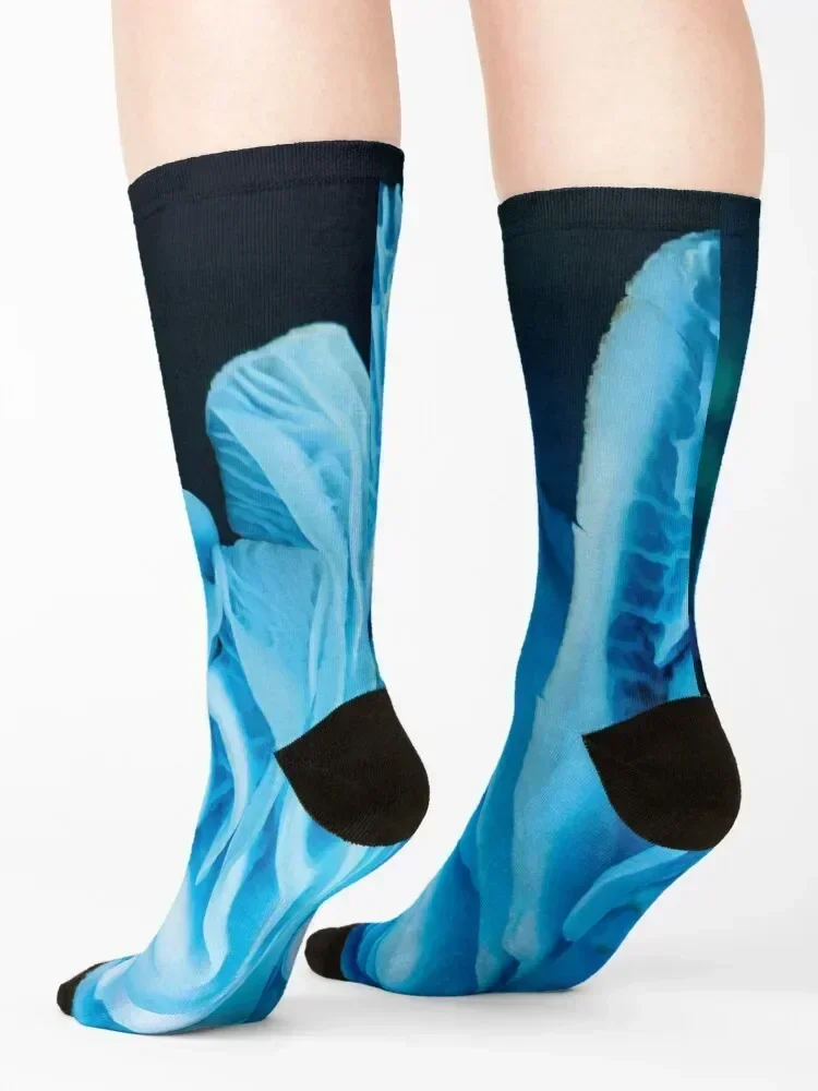 جوارب البجعة هدايا الشتاء، جوارب متحركة، هدايا مضحكة، جوارب للرجال والنساء