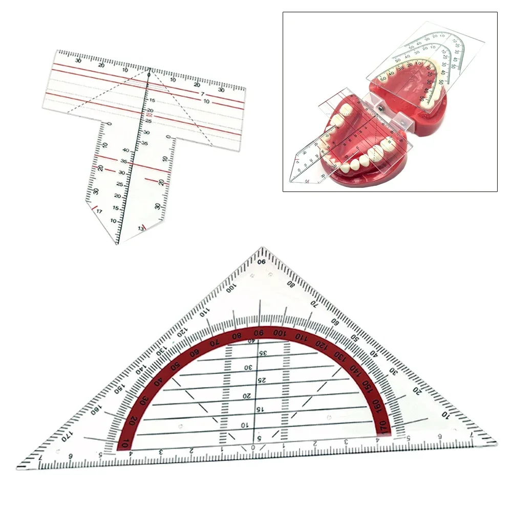 

Dental Denture Drawing and Alignment Dental Ruler T-Shape Examination Orthodontic Symmetry Measurements Multifunctional