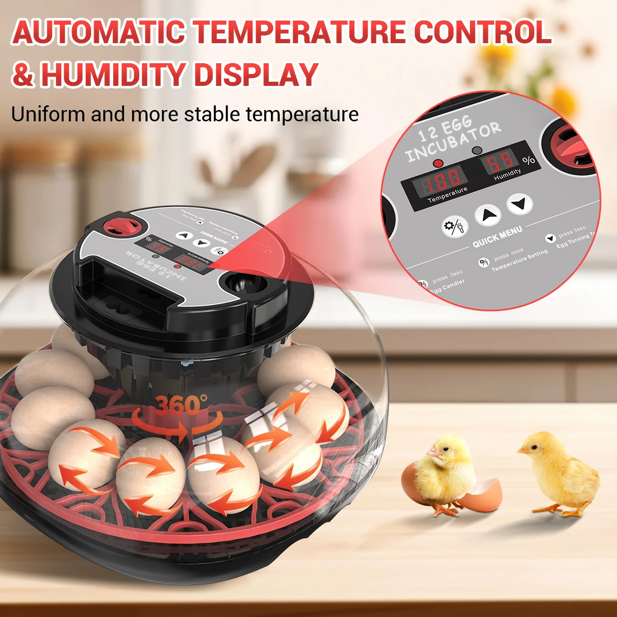 12마리 병아리 부화기 계란 부화기 메추라기 앵무새 가정 사육 지능형 부화기