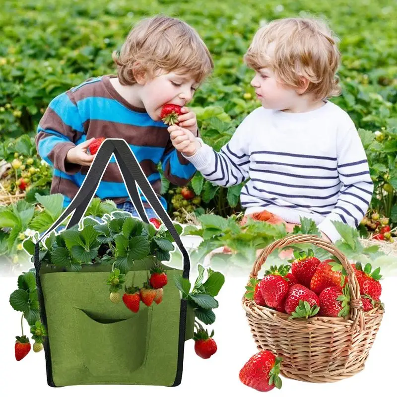 Plant Grow Bag 5 Gallon Strawberry Plant Fabric Pots For Outdoor Breathable Heavy Duty Cloth Pots With 4 Side Growth Pockets For