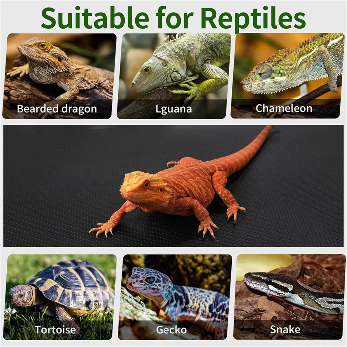 The New Reptile Mat,Reptile Terrarium Substrate Liner for Leopard Gecko, Lizard,Snake,Tortoise,Reptile Flooring 18x36 Inch Black