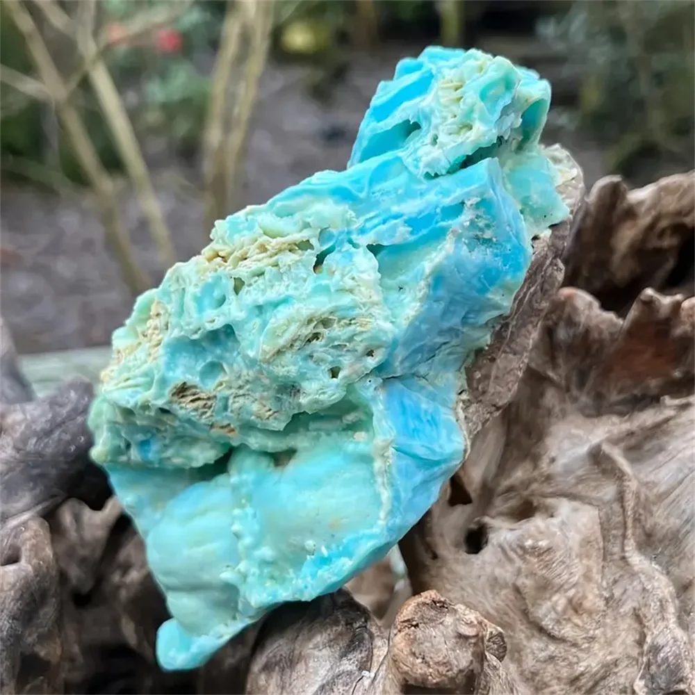 yZ[z1̃Au[ASiCgΕW{ - VRX~X\iCgNX^NH[cA{w~AX^C̃z[&ItBXfXNgbv