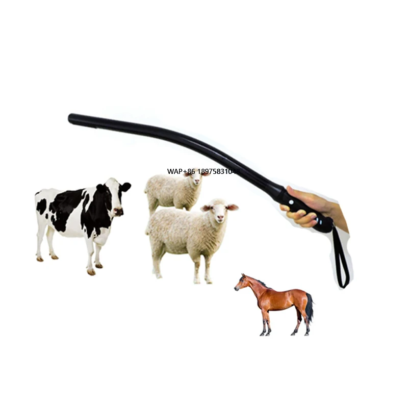 

SY-AVL_vet Беспроводное ветеринарное ультразвуковое оборудование Транректильный ультразвуковой портативный ветеринарный линейный