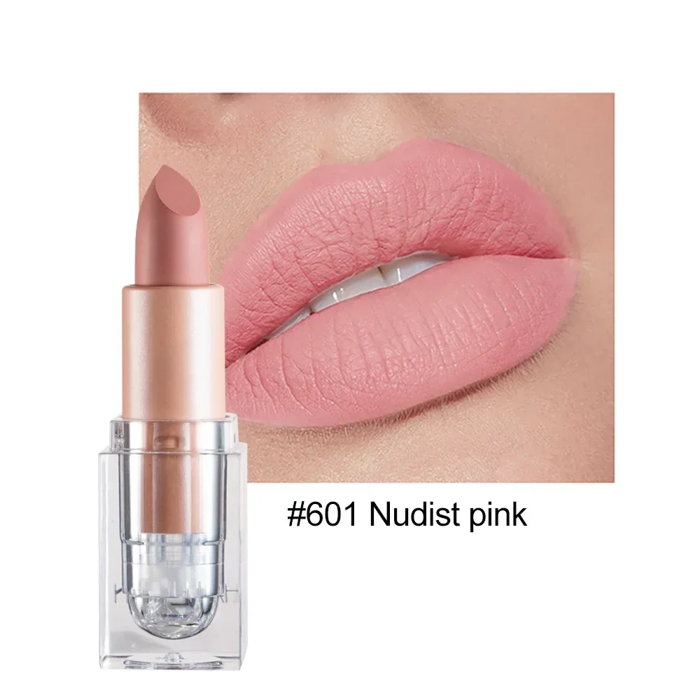 12Color Transparent Tube Rotatable Matte Lipstick Velvet Lips Makeup Cosmetics Longlasting Waterproof Popular Women Gifts Nude