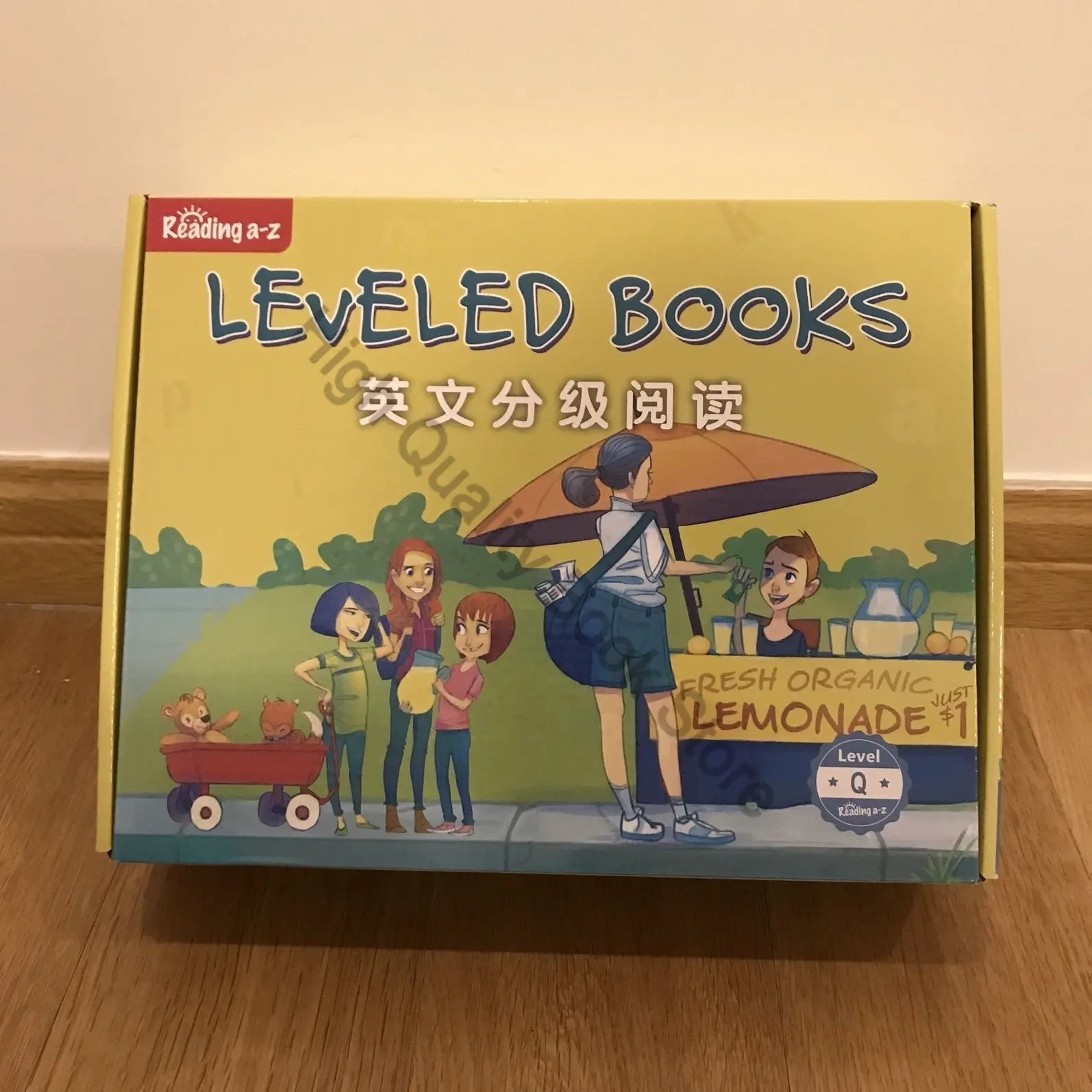 RAZ O/P/Q/S niveles exquisita caja de regalo Manual de traducción + libro de ejercicios de alta calidad para niños lectura para niños inglés