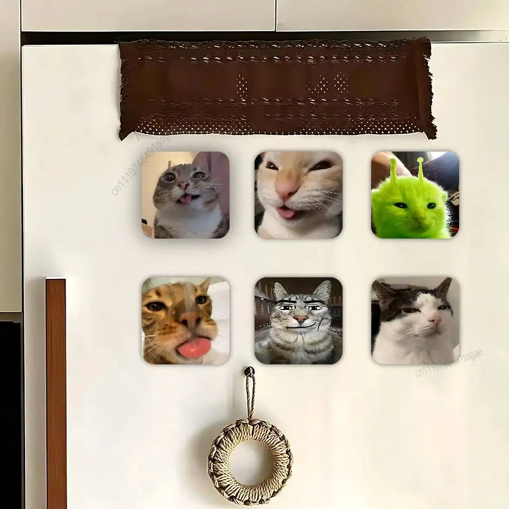

Funny Cat MeMe Fridge Magnets, Decorative Refrigerator Magnets for Home Kitchen Decor, Strong Magnet Whiteboard Stickers